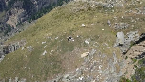 Artist painting sitting on the rocks at the cliff. Wonderful mountain view. — Stock Video