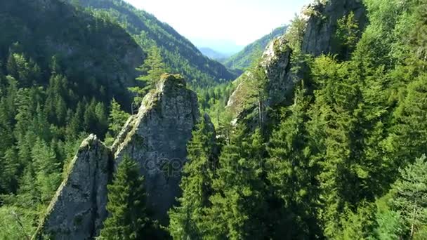 La Géorgie. Survoler le paysage de montagne 
