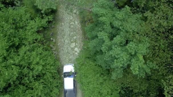 Bilen går igenom den vackra skogen, antenn skytte Stockfilm