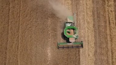 Hasat kaldırır olgun buğday, havadan görünümü
