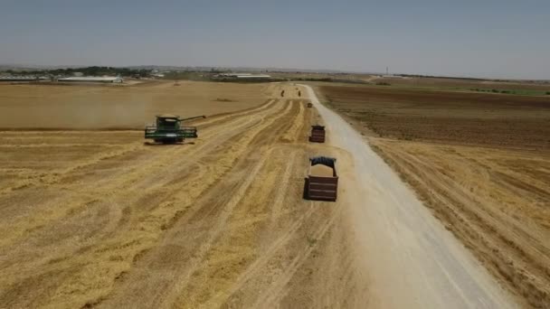 Cosechadora elimina el trigo maduro, vista aérea — Vídeo de stock