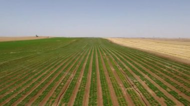 Sulama sistemi İsrail Çölü