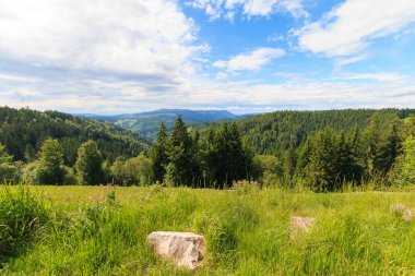 Almanya, Kara Orman alanı, tarım alanları görüntüleme.