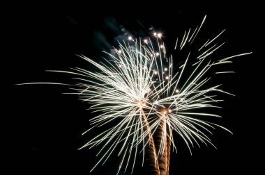 fireworks siyah arka plan üzerine beyaz palmiye şeklinde