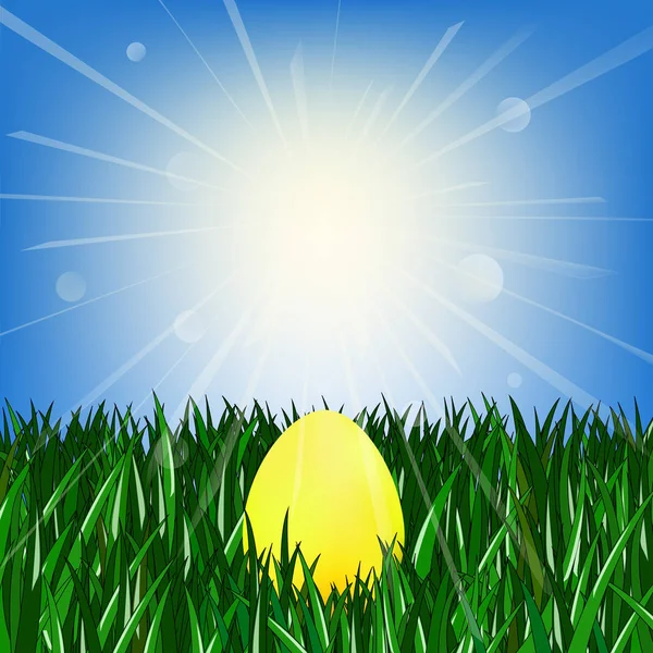 Golden egg on the green grass — Stock Vector