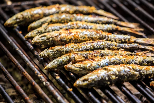 Vers gegrilde sardines op de grill — Stockfoto