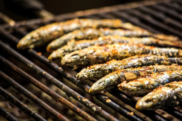 Vers gegrilde sardines op de grill — Stockfoto