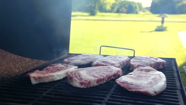 Barbekü sığır eti biftek — Stok video