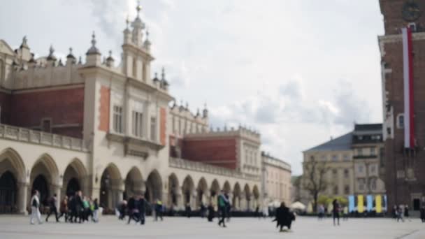 Duvor på marknaden square i Krakow, Polen — Stockvideo