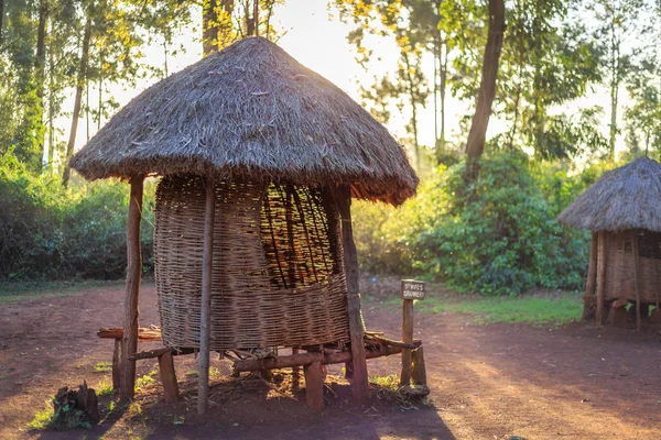 Kenya insanların geleneksel tahıl ambarı