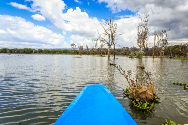 Cruzeiro no lago por canoa azul, Naivasha, Quênia — Fotografia de Stock
