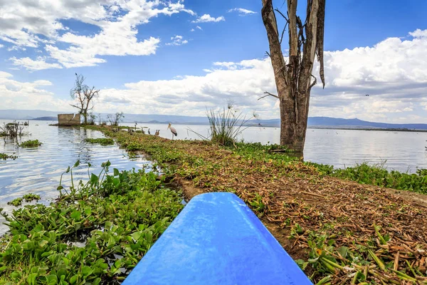 Lake cruise door de blauwe kano, Naivasha, Kenia — Stockfoto