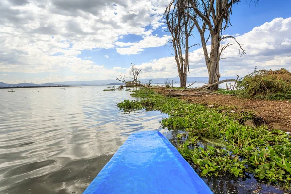 青いカヌー、ケニアのナイバシャ湖クルーズします。 — ストック写真