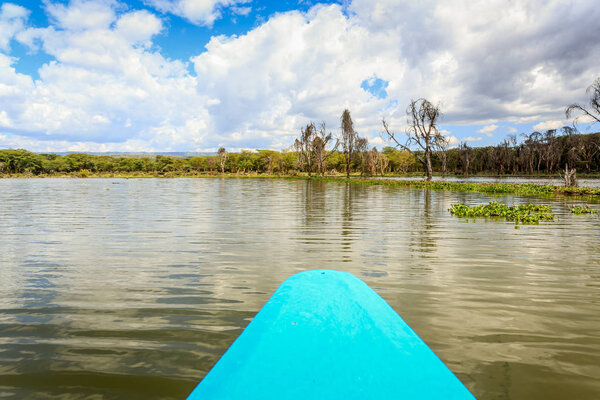 Lake cruise by blue canoe, Naivasha, Kenya