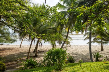 Cennet plaj beyaz kum ve avuç içi ile