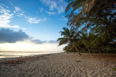 Cennet plaj beyaz kum ve avuç içi ile