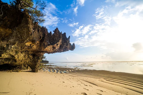 Spiaggia paradisiaca con sabbia bianca e palme — Foto Stock
