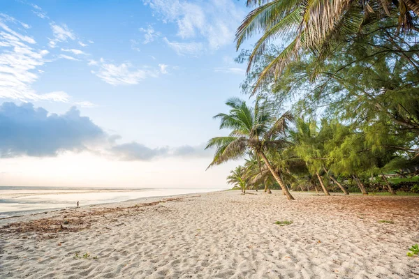 Spiaggia paradisiaca con sabbia bianca e palme — Foto Stock