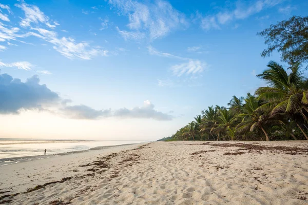 Cennet plaj beyaz kum ve avuç içi ile — Stok fotoğraf
