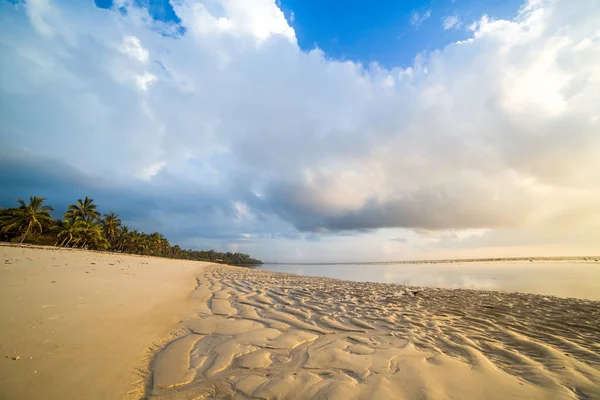Spiaggia paradisiaca con sabbia bianca e palme — Foto Stock