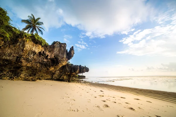 Spiaggia paradisiaca con sabbia bianca e palme — Foto Stock