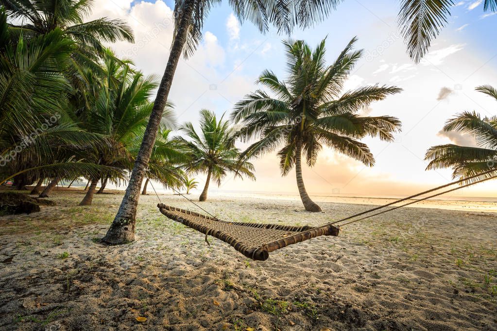 Hammock between palms on sandy beach