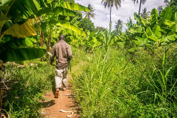 Man lopen via de bananenplantage is Oost-Afrika — Stockfoto