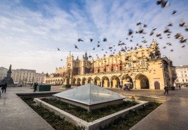 Güzel Pazar Meydanı kuşlar, Krakow, Polonya