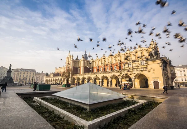 Hermosa plaza del mercado con aves, Cracovia, Polonia — Foto de Stock