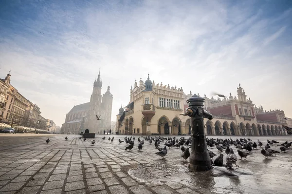 Hermosa plaza del mercado con aves, Cracovia, Polonia — Foto de Stock
