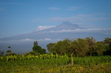 Kilimanjaro - pik ve Mawenzi doruklarına