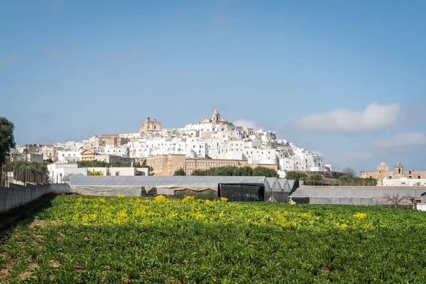 Cidade branca Ostuni panorama, Itália — Fotografia de Stock