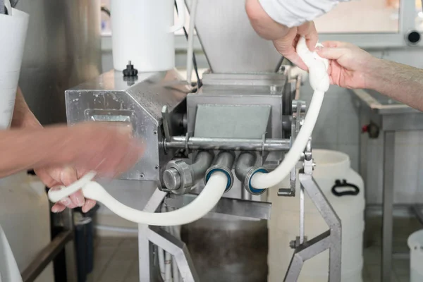 Production of italian mozzarella. — Stock Photo, Image