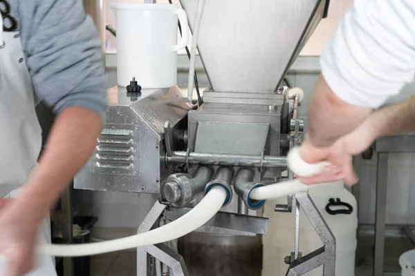 İtalyan Mozzarella peyniri imalatı.