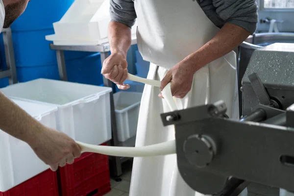 Produktion av italienska mozzarella. — Stockfoto