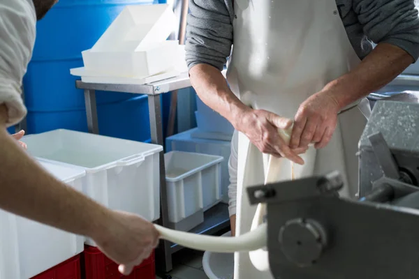 Produktion av italienska mozzarella. — Stockfoto