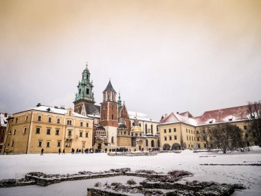 wawel Royal castle Krakow, Polonya