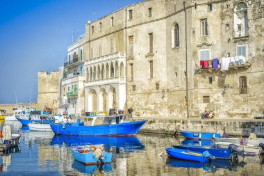 Blue boats in seaport of Monopoli, Italy clipart