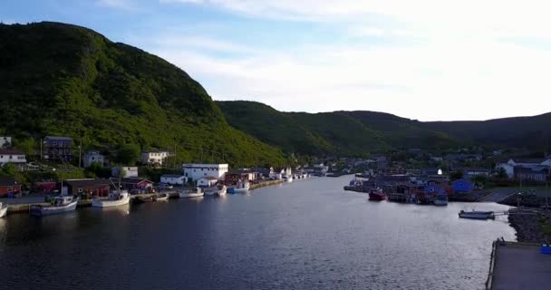 Vackra Petty hamnen med under sommaren, Newfoundland och Labrador, Kanada — Stockvideo