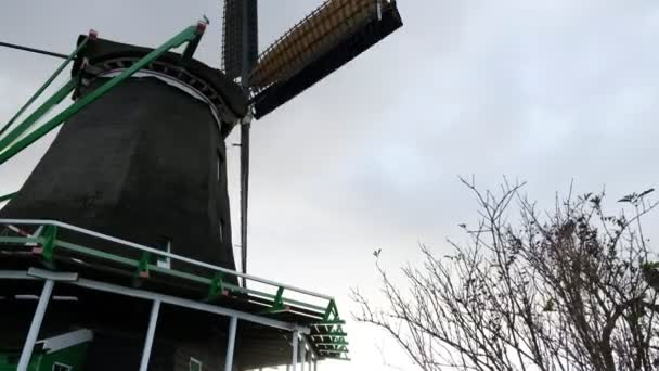 Prachtige historische windmolens in de Zaanse Schans, Nederland — Stockvideo