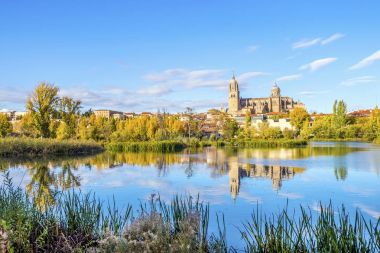 Salamanca ve Tormes nehir, İspanya köprüden katedral