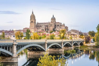 Cathedral of Salamanca and bridge over Tormes river, Spain clipart