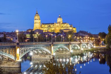 Salamanca ve Tormes nehir, İspanya köprüden katedral