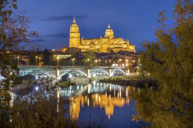 Salamanca ve Tormes nehir, İspanya köprüden katedral
