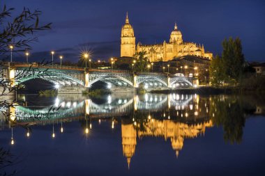 Salamanca ve Tormes nehir, İspanya köprüden katedral