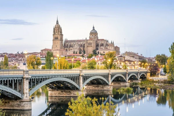 Cathédrale de Salamanque et pont sur la rivière Tormes, Espagne — Photo