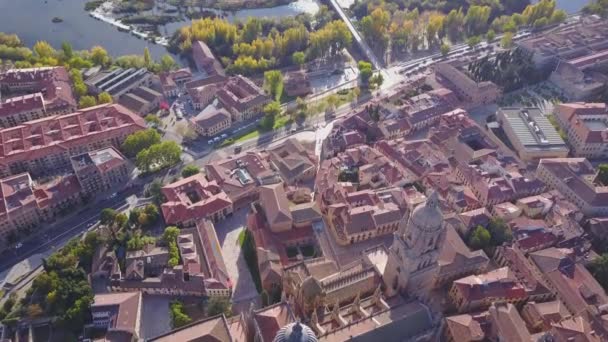 歴史ある大聖堂都市サラマンカ カスティーリャ レオン スペインに — ストック動画