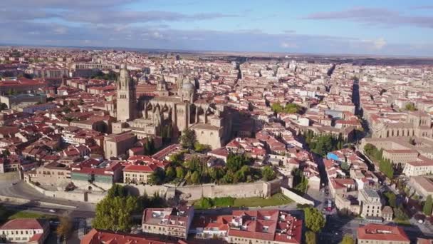 Catedral Histórica Elevada Sobre Gran Ciudad Salamanca Castilla León España — Vídeo de stock