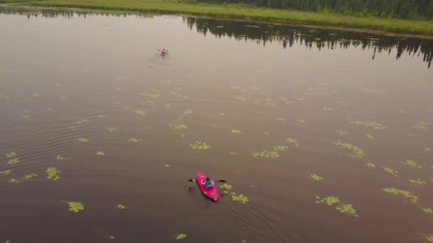 Vista Aérea Dos Kayaks Rojos Sobre Gran Lago Con Nenúfares — Vídeos de Stock