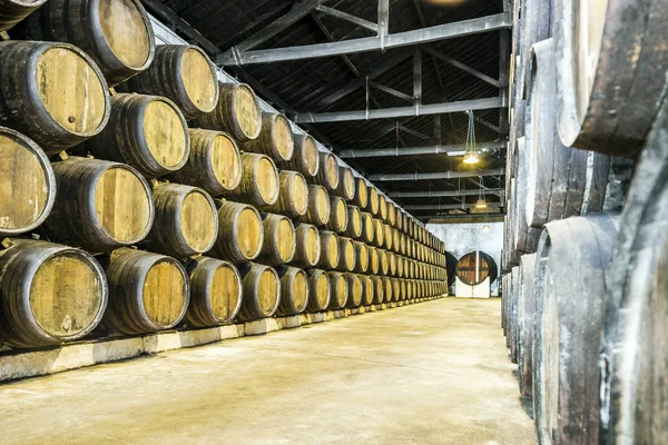 Un montón de barricas de vino en el área de Oporto, Portugal —  Fotos de Stock